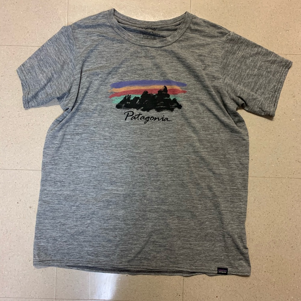 Patagonia tee